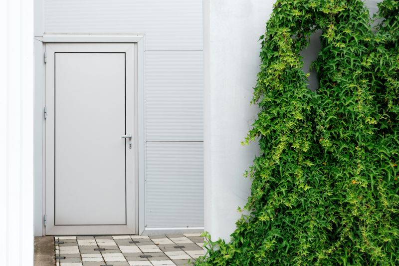 Entry Door Installation: Boosting Security And First Impressions