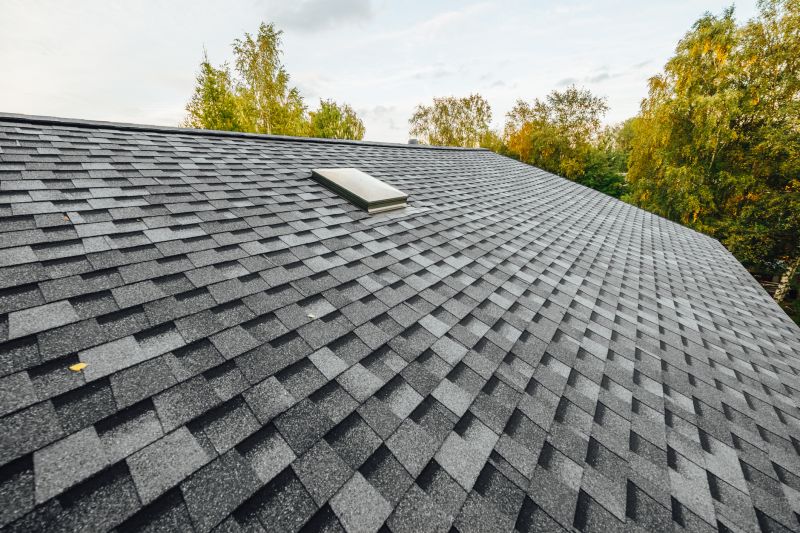 What To Expect During A Professional Roof Installation Project